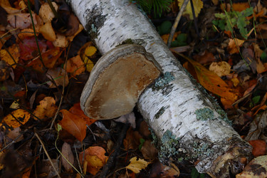 Similar image 22097677