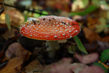 Similar image 22097678