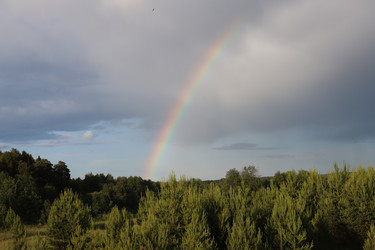 Similar image 22097679