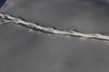 Similar image 22095701