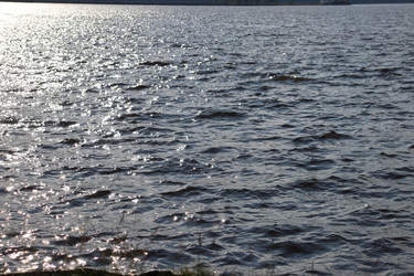 Similar image 22097681