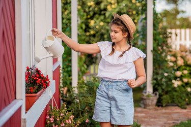 Similar image 22112617