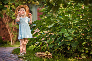 Similar image 22112622