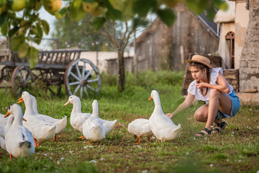 Similar image 22112625