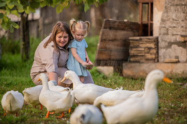 Similar image 22112626