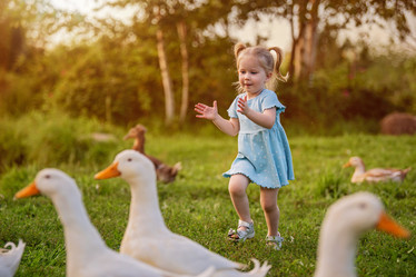 Similar image 22112627