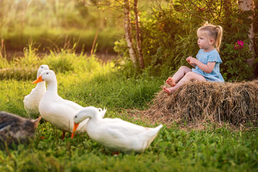 Similar image 22112628