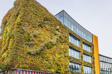 Similar image 22106009