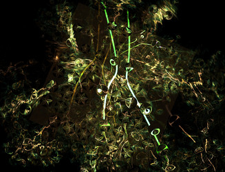 Similar image 22100410