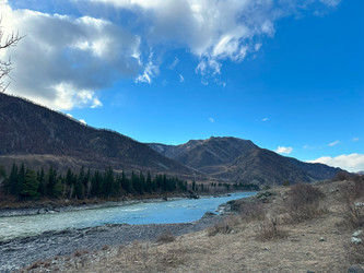 Similar image 22098206