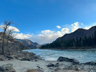 Similar image 22098208