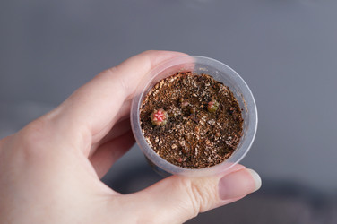 Similar image 22098328