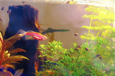 Similar image 22111782