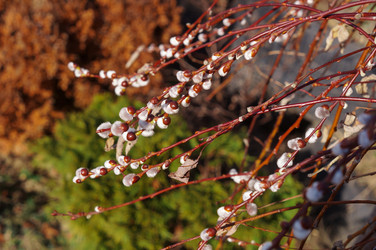 Similar image 22098332