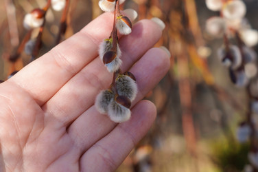 Similar image 22098333