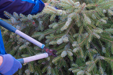 Similar image 22098358