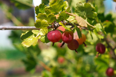 Similar image 22098359