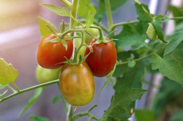 Similar image 22098364