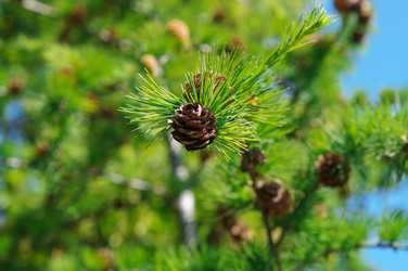 Similar image 22111783