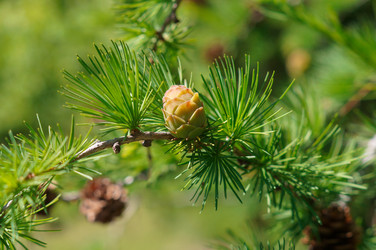 Similar image 22111784