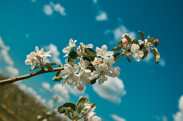 Similar image 22099837