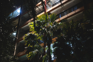 Similar image 22100014