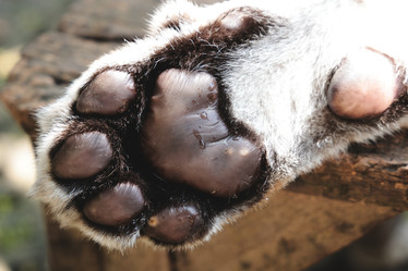 Similar image 22100025