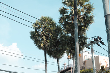 Similar image 22100035