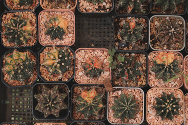 Similar image 22100041