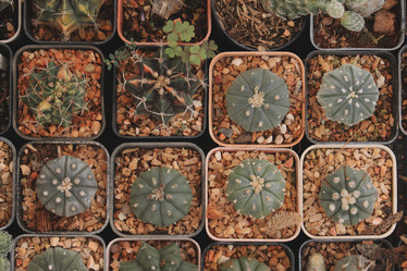 Similar image 22100044