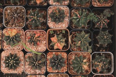 Similar image 22100047