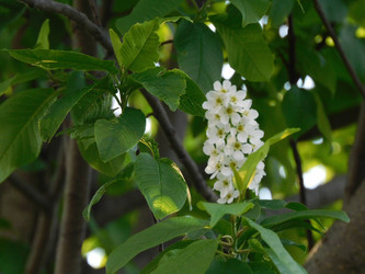 Similar image 22109504