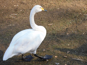 Similar image 22109505