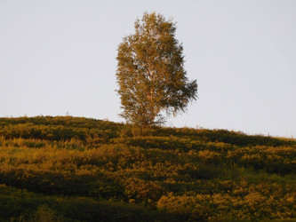 Similar image 22109511