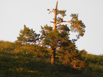 Similar image 22099395