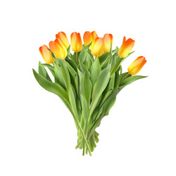 Similar image 22095979