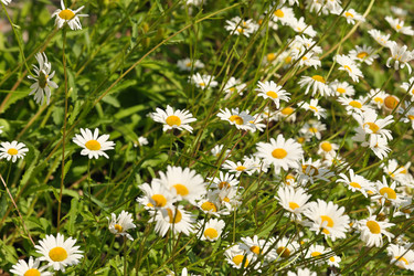 Similar image 22095980