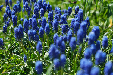 Similar image 22095981