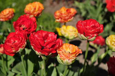 Similar image 22095983