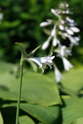 Similar image 22095984