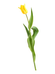 Similar image 22095985