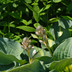 Similar image 22095986