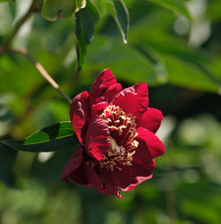 Similar image 22095992