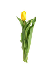 Similar image 22095993