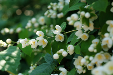 Similar image 22095994