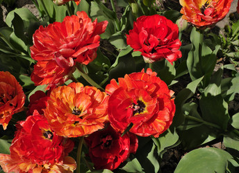 Similar image 22095995