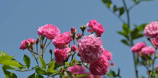 Similar image 22095996