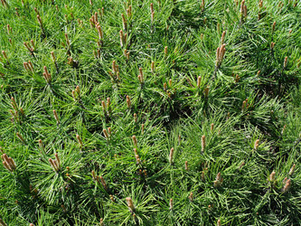 Similar image 22095997