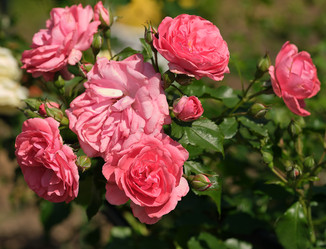 Similar image 22095998