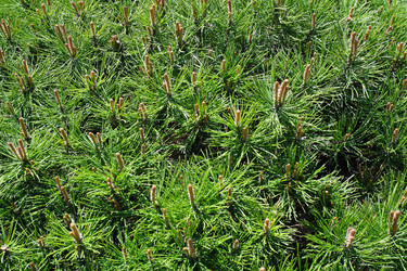 Similar image 22095999